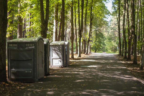 Best Portable Toilets with Baby Changing Stations in Braidwood, IL